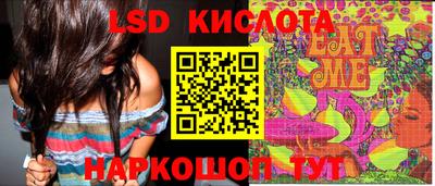 индика Лесосибирск