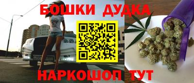 индика Лесосибирск