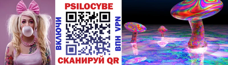 Галлюциногенные грибы Cubensis  где найти   Саки 
