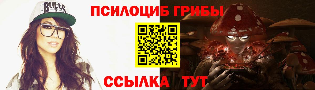 Псилоцибиновые грибы Psilocybe  Вход с VPN  Саки 