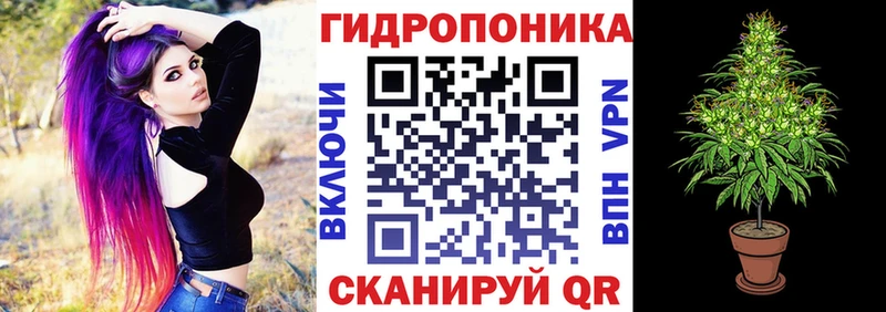 Бошки Шишки семена как найти закладки Саки